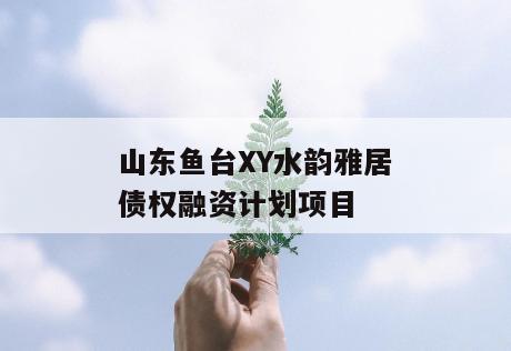 山东鱼台XY水韵雅居债权融资计划项目