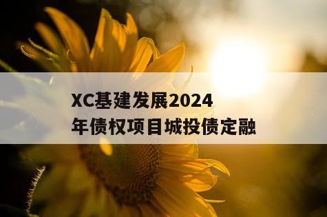 XC基建发展2024年债权项目城投债定融