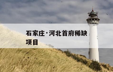 石家庄·河北首府稀缺项目