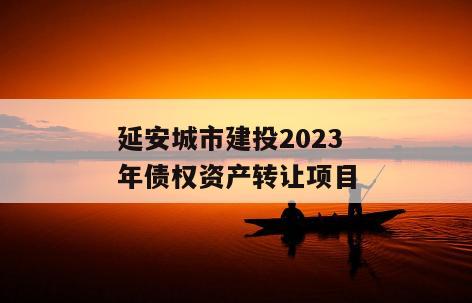延安城市建投2023年债权资产转让项目