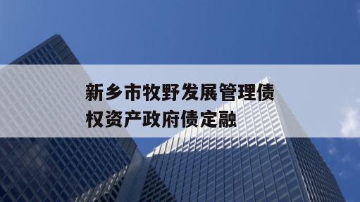 新乡市牧野发展管理债权资产政府债定融