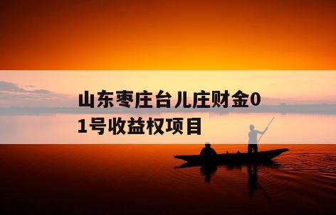 山东枣庄台儿庄财金01号收益权项目