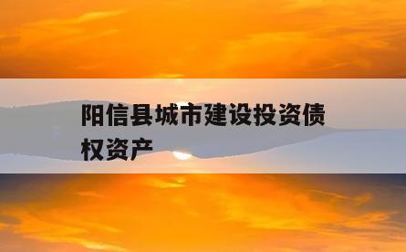 阳信县城市建设投资债权资产
