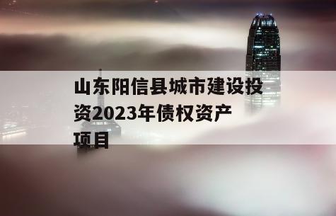 山东阳信县城市建设投资2023年债权资产项目