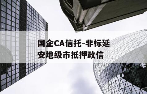 国企CA信托-非标延安地级市抵押政信