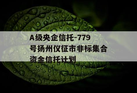A级央企信托-779号扬州仪征市非标集合资金信托计划