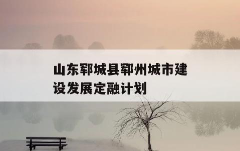 山东郓城县郓州城市建设发展定融计划