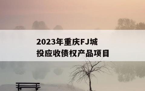 2023年重庆FJ城投应收债权产品项目