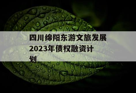 四川绵阳东游文旅发展2023年债权融资计划