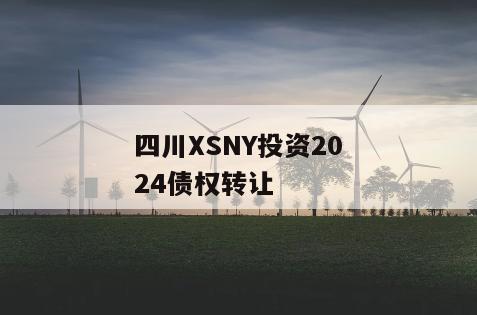 四川XSNY投资2024债权转让