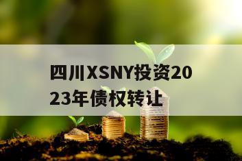 四川XSNY投资2023年债权转让
