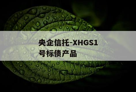 央企信托-XHGS1号标债产品