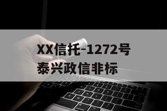 XX信托-1272号泰兴政信非标