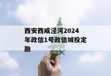 西安西咸泾河2024年政信1号政信城投定融