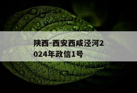 陕西-西安西咸泾河2024年政信1号