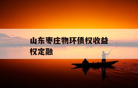 山东枣庄物环债权收益权定融