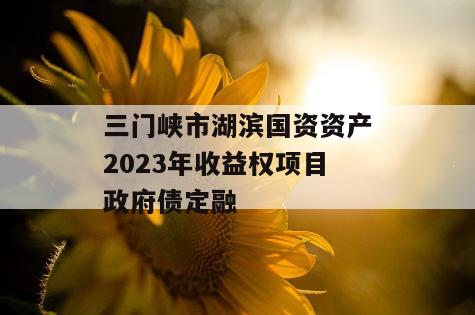三门峡市湖滨国资资产2023年收益权项目政府债定融