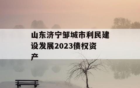 山东济宁邹城市利民建设发展2023债权资产