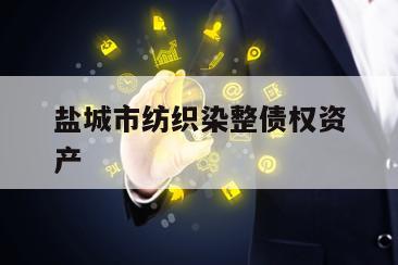 盐城市纺织染整债权资产