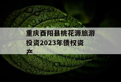 重庆酉阳县桃花源旅游投资2023年债权资产