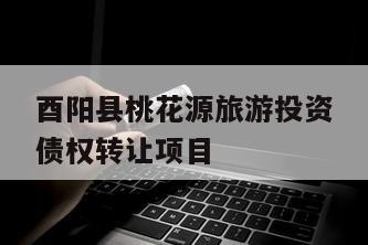 酉阳县桃花源旅游投资债权转让项目