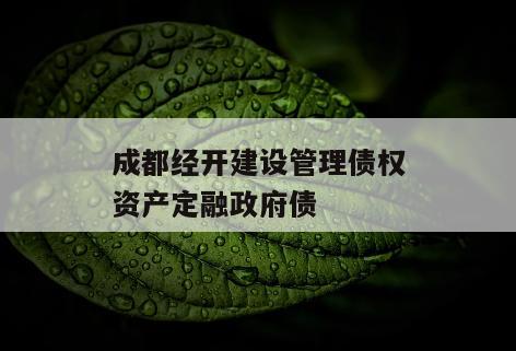 成都经开建设管理债权资产定融政府债