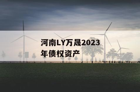 河南LY万晟2023年债权资产