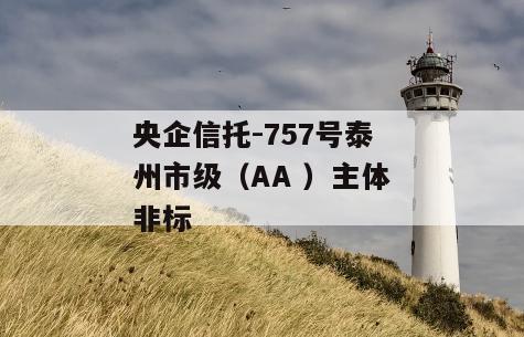 央企信托-757号泰州市级（AA ）主体非标