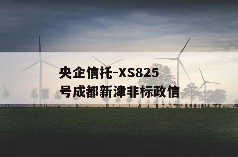 央企信托-XS825号成都新津非标政信