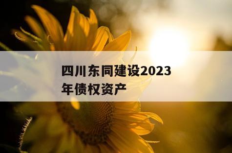四川东同建设2023年债权资产