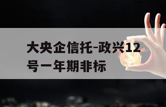 大央企信托-政兴12号一年期非标