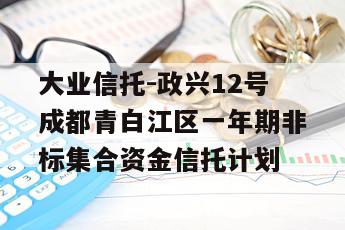 大业信托-政兴12号成都青白江区一年期非标集合资金信托计划