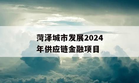 菏泽城市发展2024年供应链金融项目