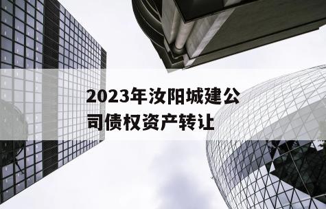 2023年汝阳城建公司债权资产转让