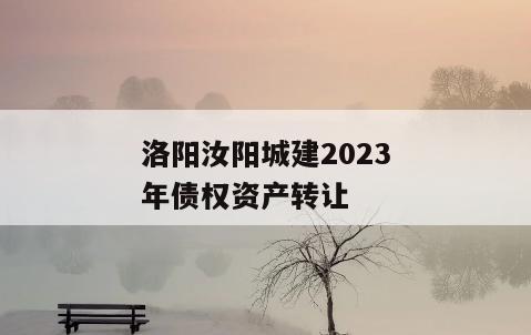 洛阳汝阳城建2023年债权资产转让