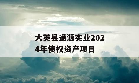 大英县通源实业2024年债权资产项目