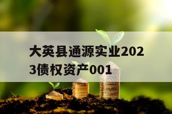 大英县通源实业2023债权资产001