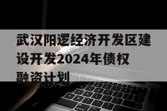 武汉阳逻经济开发区建设开发2024年债权融资计划