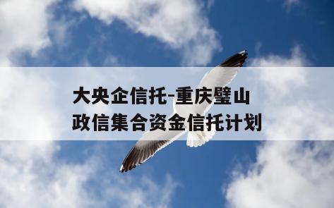 大央企信托-重庆璧山政信集合资金信托计划