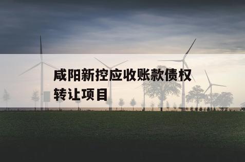 咸阳新控应收账款债权转让项目