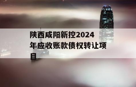 陕西咸阳新控2024年应收账款债权转让项目