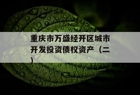 重庆市万盛经开区城市开发投资债权资产（二）