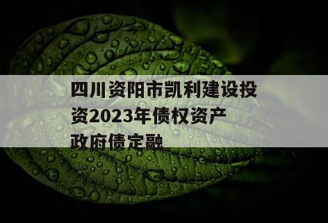 四川资阳市凯利建设投资2023年债权资产政府债定融