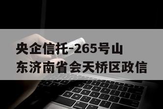 央企信托-265号山东济南省会天桥区政信