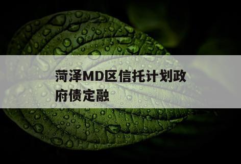 菏泽MD区信托计划政府债定融
