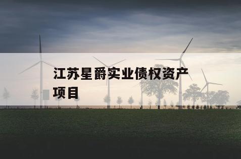 江苏星爵实业债权资产项目