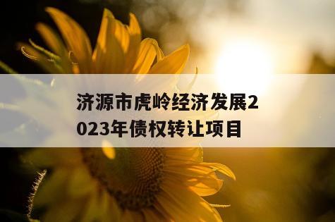 济源市虎岭经济发展2023年债权转让项目