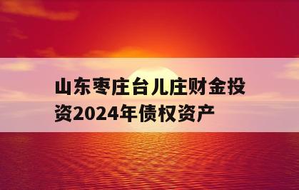 山东枣庄台儿庄财金投资2024年债权资产