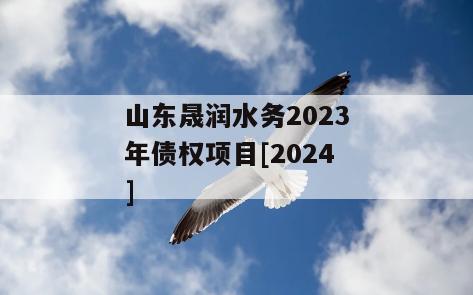 山东晟润水务2023年债权项目[2024]