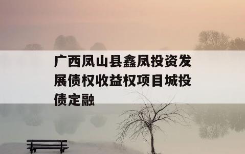 广西凤山县鑫凤投资发展债权收益权项目城投债定融